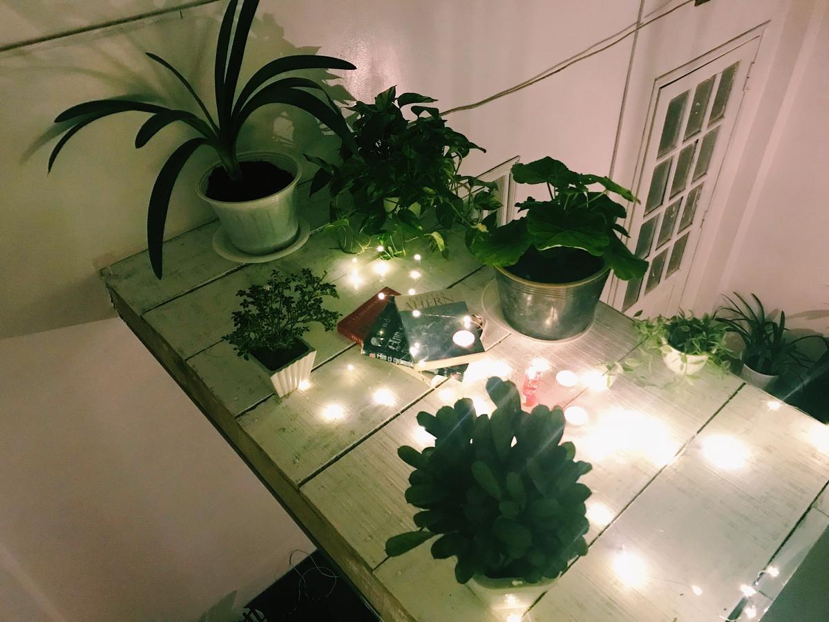 The Balcony Bnb 달랏 외부 사진